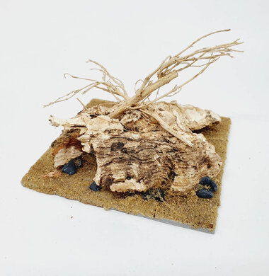 AntScape Biohobby 0223052703007