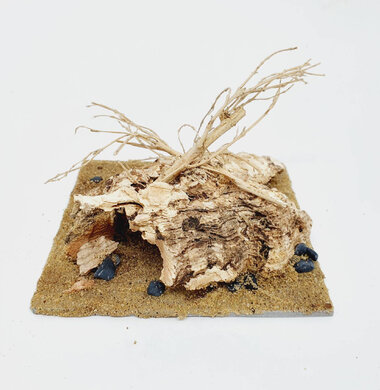 AntScape Biohobby 0223052703007