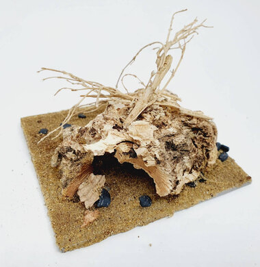 AntScape Biohobby 0223052703007