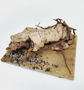 AntScape Biohobby 0223052703012