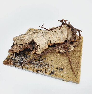 AntScape Biohobby 0223052703012