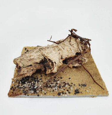 AntScape Biohobby 0223052703012