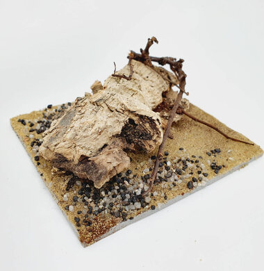 AntScape Biohobby 0223052703012