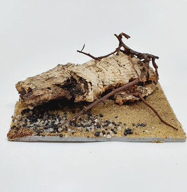 AntScape Biohobby 0223052703012