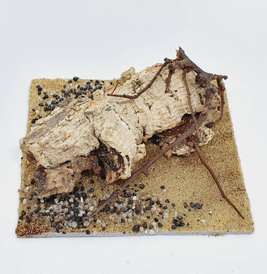 AntScape Biohobby 0223052703012