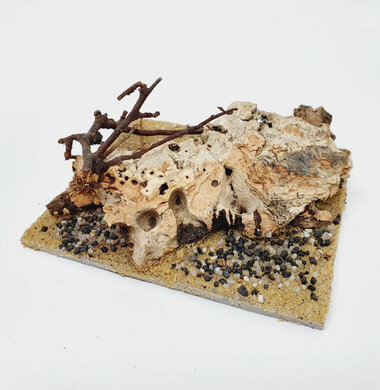 AntScape Biohobby 0223052703012