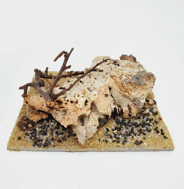 AntScape Biohobby 0223052703012