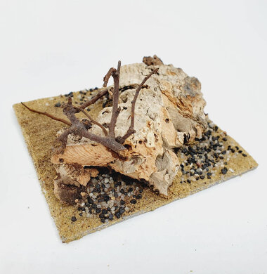 AntScape Biohobby 0223052703012