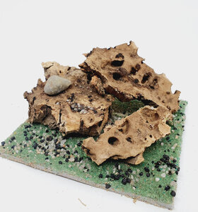 AntScape Biohobby 0223060901003