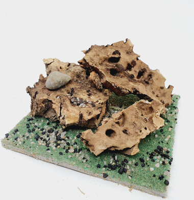 AntScape Biohobby 0223060901003