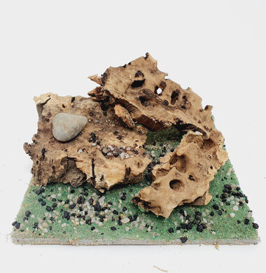 AntScape Biohobby 0223060901003