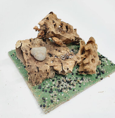 AntScape Biohobby 0223060901003