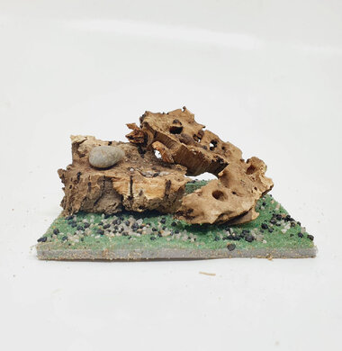 AntScape Biohobby 0223060901003