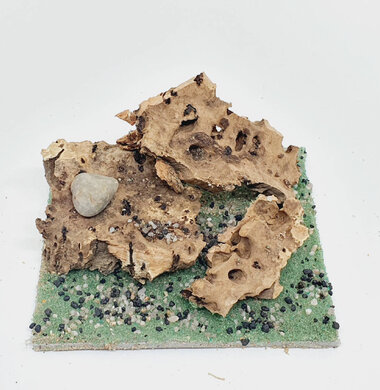 AntScape Biohobby 0223060901003