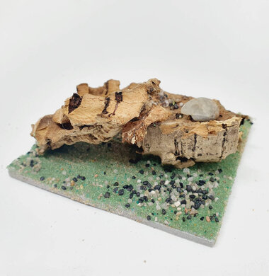 AntScape Biohobby 0223060901003