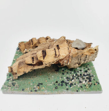 AntScape Biohobby 0223060901003