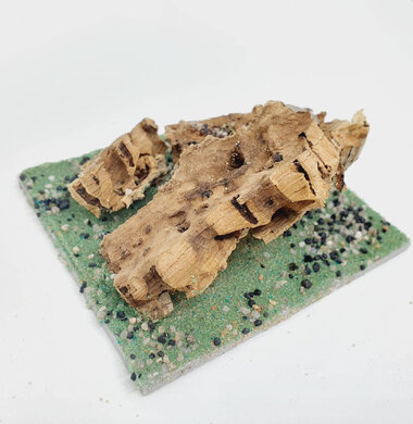 AntScape Biohobby 0223060901003