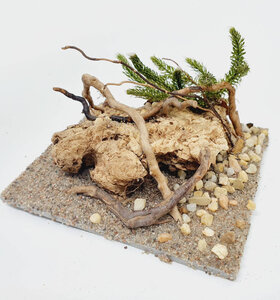 AntScape Biohobby 0223060901004