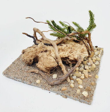 AntScape Biohobby 0223060901004