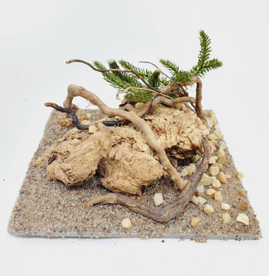 AntScape Biohobby 0223060901004