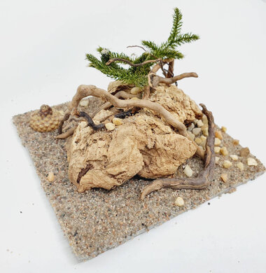 AntScape Biohobby 0223060901004