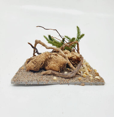 AntScape Biohobby 0223060901004