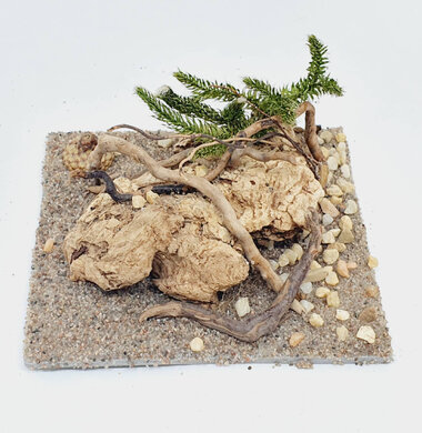 AntScape Biohobby 0223060901004