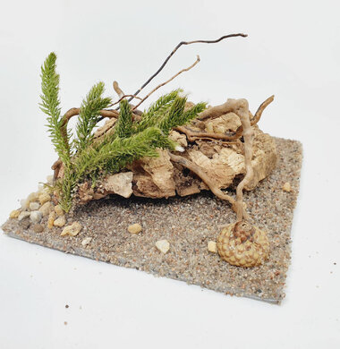 AntScape Biohobby 0223060901004