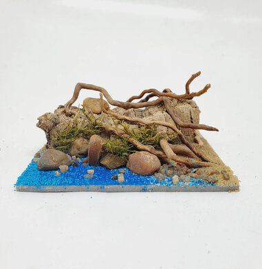 AntScape Biohobby 0223060902006