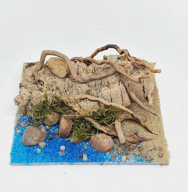 AntScape Biohobby 0223060902006