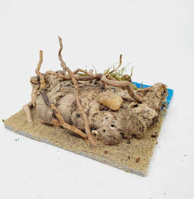 AntScape Biohobby 0223060902006