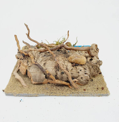 AntScape Biohobby 0223060902006