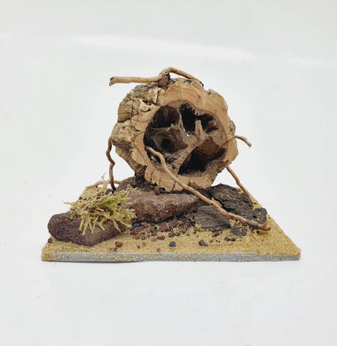 AntScape Biohobby 0223060903001