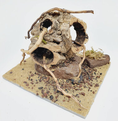 AntScape Biohobby 0223060903001