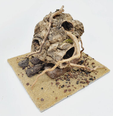 AntScape Biohobby 0223060903001