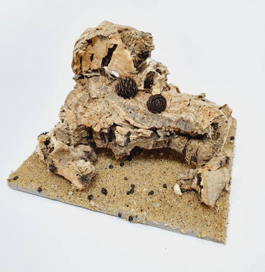 AntScape Biohobby 0223070501002