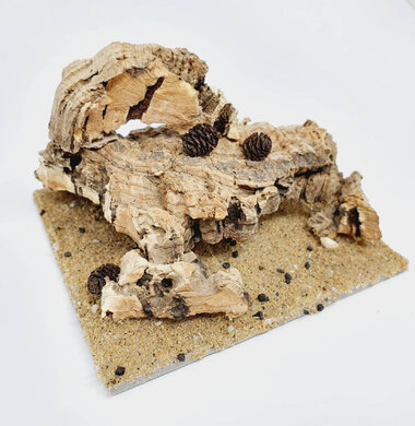 AntScape Biohobby 0223070501002