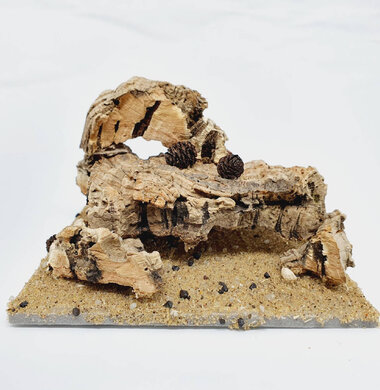 AntScape Biohobby 0223070501002