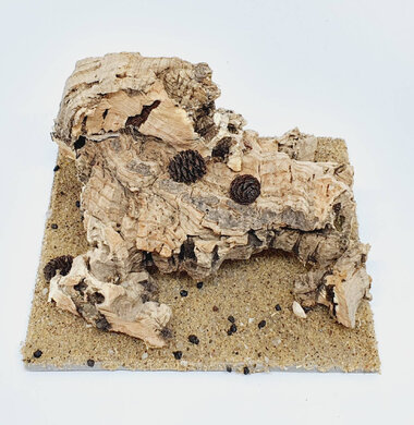 AntScape Biohobby 0223070501002