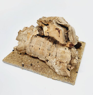 AntScape Biohobby 0223070501002