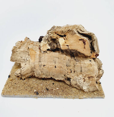 AntScape Biohobby 0223070501002