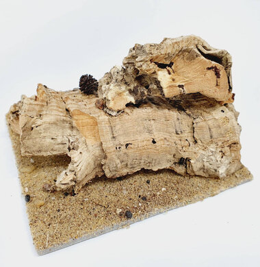 AntScape Biohobby 0223070501002