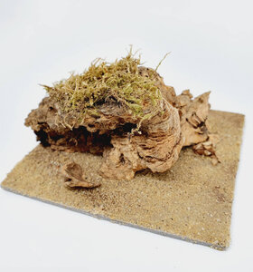 AntScape Biohobby 0223070501003