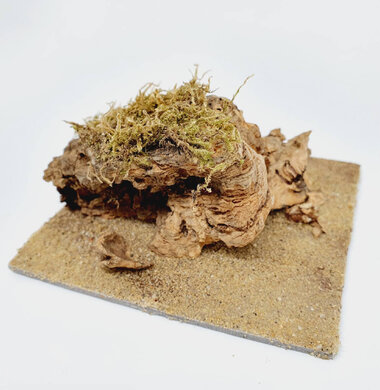 AntScape Biohobby 0223070501003