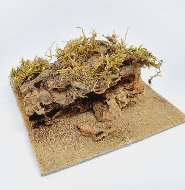 AntScape Biohobby 0223070501003