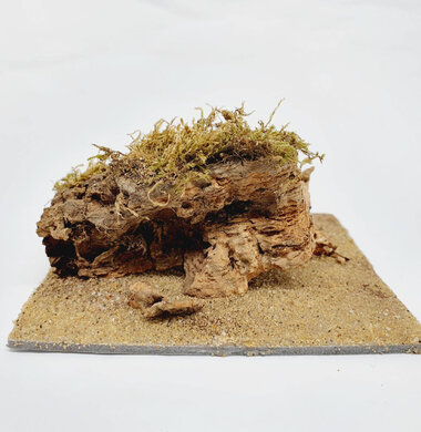 AntScape Biohobby 0223070501003