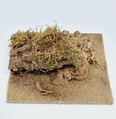 AntScape Biohobby 0223070501003