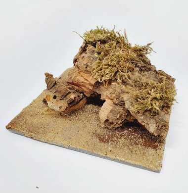 AntScape Biohobby 0223070501003