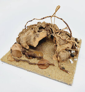 AntScape Biohobby 0223070501004