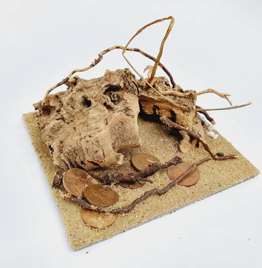 AntScape Biohobby 0223070501004